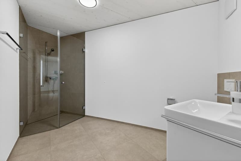 Modernes 5.5-Zimmer-Einfamilienhaus mit flexibler 2.5-Zimmer-Einliegerwohnung (14)
