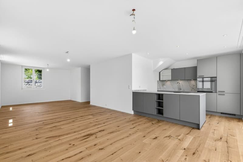 Freistehendes Neubau-Einfamilienhaus in Gams - 4.5 Zimmer Wohngenuss für die ganze Familie (5)