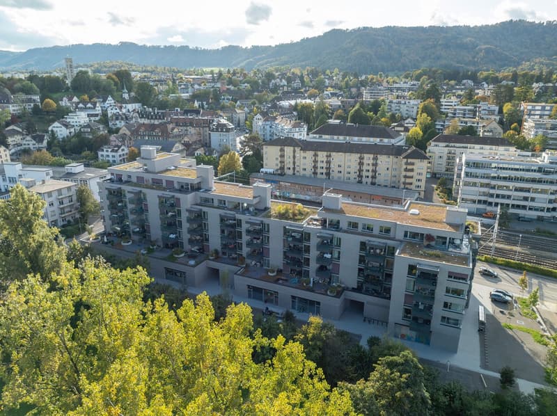 Ampio appartamento di 2.5 locali a Zürich-Wollishofen (1)