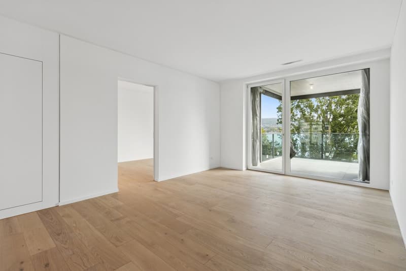 Ampio appartamento di 2.5 locali a Zürich-Wollishofen (3)