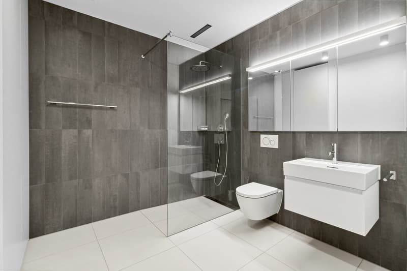 Bello appartamento di 2,5 locali a Zürich-Wollishofen (7)