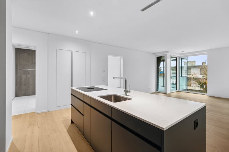 Bello appartamento di 2,5 locali a Zürich-Wollishofen (4)