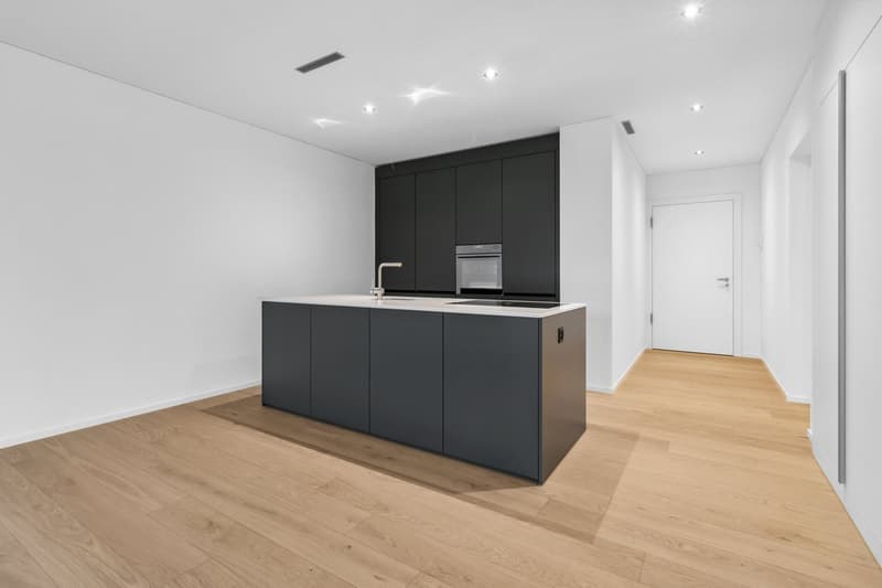 Bello appartamento di 2,5 locali a Zürich-Wollishofen (5)