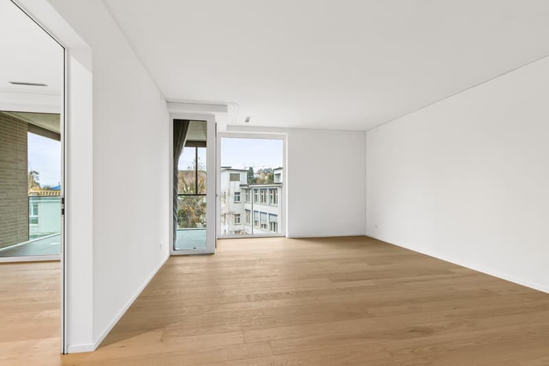 Bello appartamento di 2,5 locali a Zürich-Wollishofen (2)