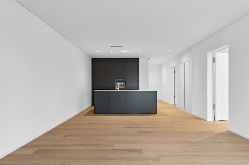 Bello appartamento di 2,5 locali a Zürich-Wollishofen (6)
