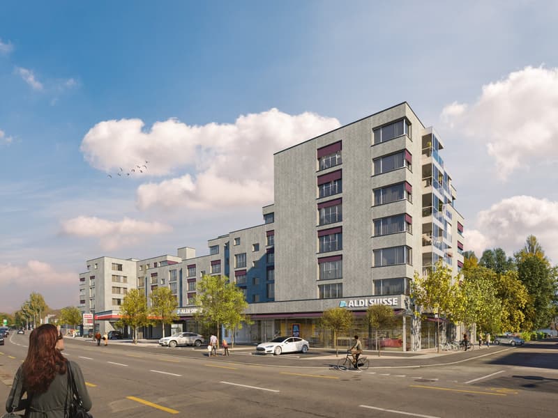 Bello appartamento di 2,5 locali a Zürich-Wollishofen (1)