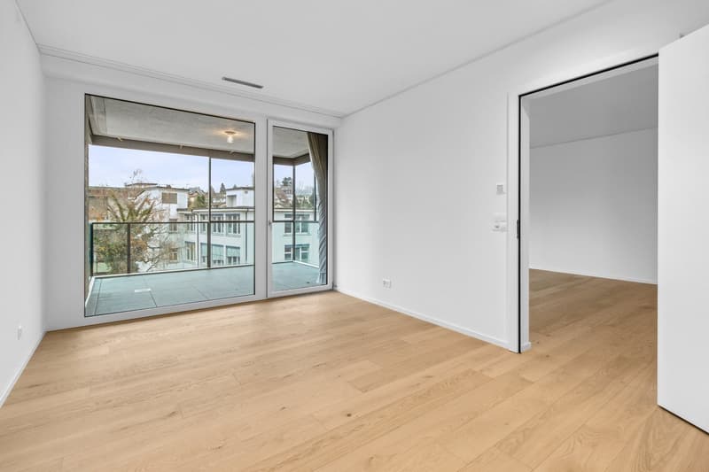 Bello appartamento di 2,5 locali a Zürich-Wollishofen (3)
