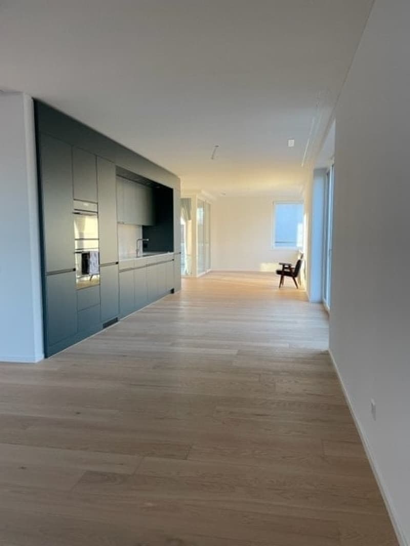 Ampio appartamento di 3.5 locali a Zurigo (5)