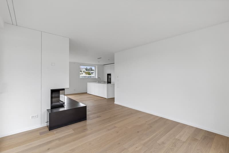 4.5-Zimmerwohnung mit praktischem Grundriss in Zürich (2)