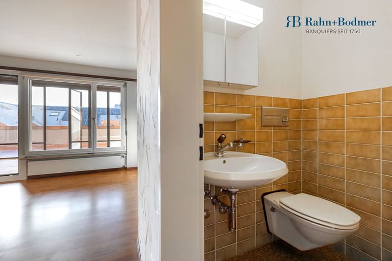 wood floor, sink, mirror, toilet, shelf