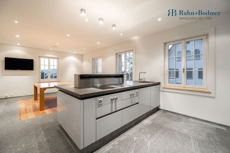 Exclusive single-family house on Zürichberg with privacy, far-reaching views, and separate annex. (5)