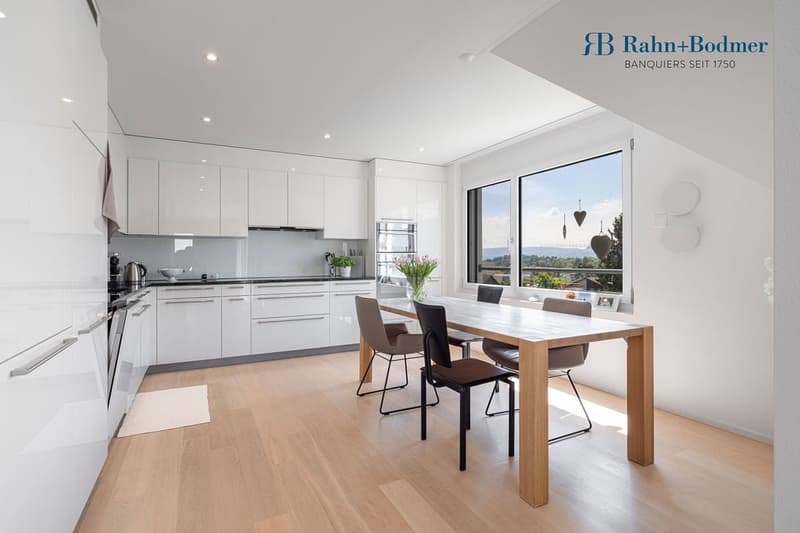 Modern 4.5-room apartment in a sunny hillside location (3)
