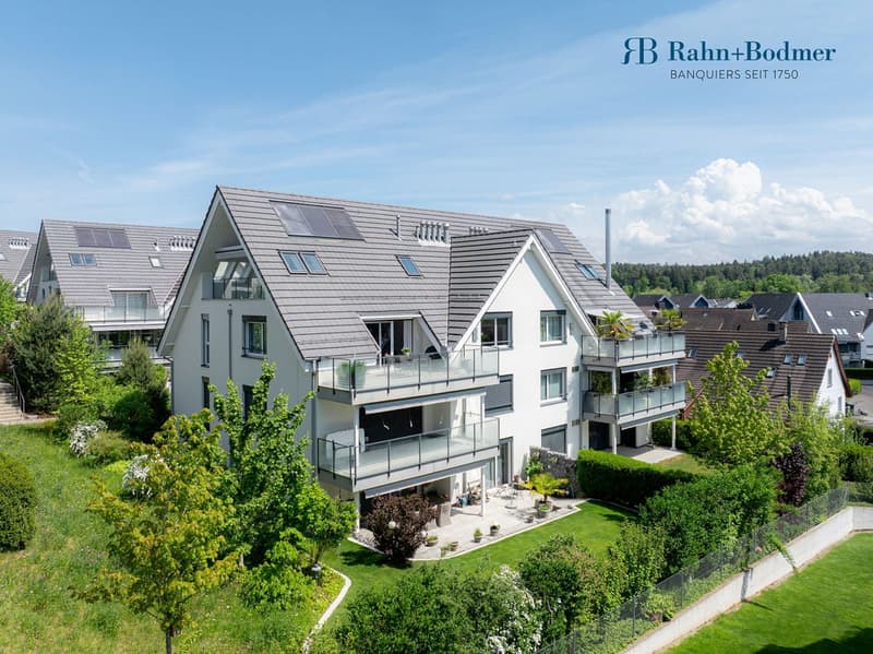 Modern 4.5-room apartment in a sunny hillside location (13)
