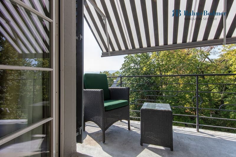 Spacious maisonette apartment with roof terrace in exclusive Zürichberg location (12)