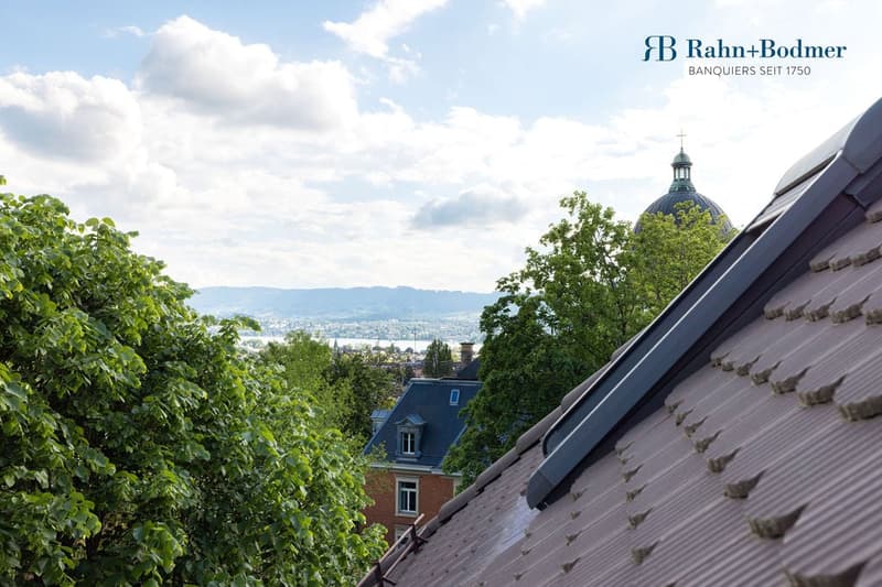 Spacious maisonette apartment with roof terrace in exclusive Zürichberg location (13)