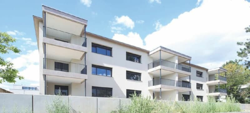 Top-Gelegenheit - 2½-Zimmer-Gartenwohnung mit individuellem Ausbau in Allschwil (3)