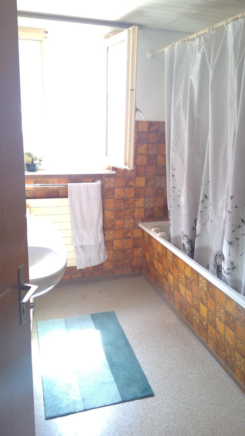 Charmante 3-Zimmer-Altbauwohnung im Herzen von Wil (10)