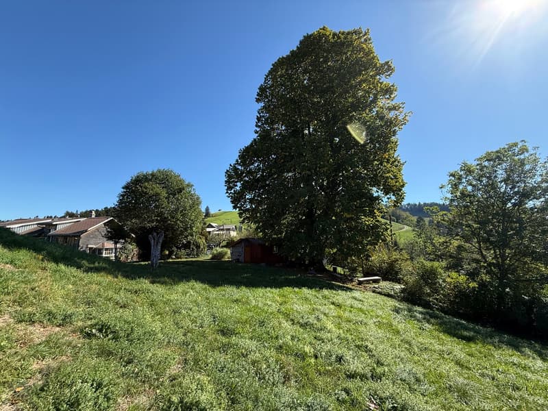 Wo das Toggenburg zu Hause ist (9)