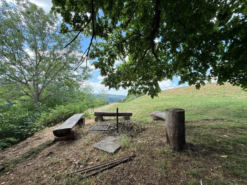 Toggenburg lifestyle – rustic, modern, and with a lot of space (10)