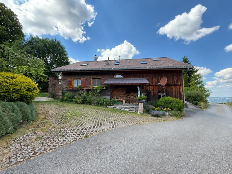 Wo das Toggenburg zu Hause ist (7)