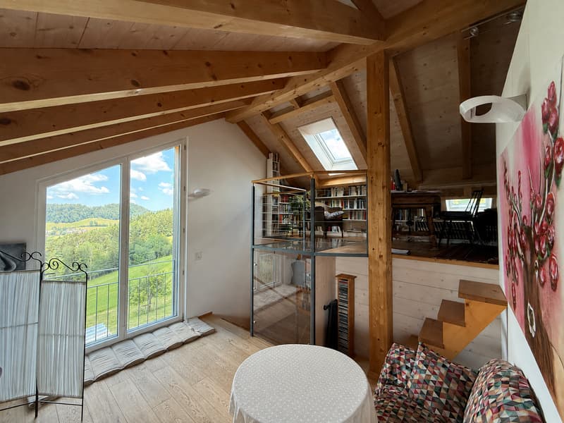 Toggenburg lifestyle – rustic, modern, and with a lot of space (6)