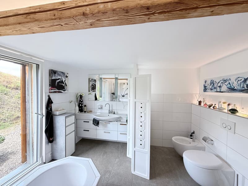 Toggenburg lifestyle – rustic, modern, and with a lot of space (8)