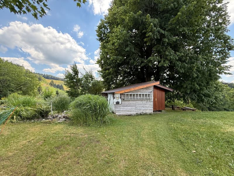 Toggenburg lifestyle – rustic, modern, and with a lot of space (9)