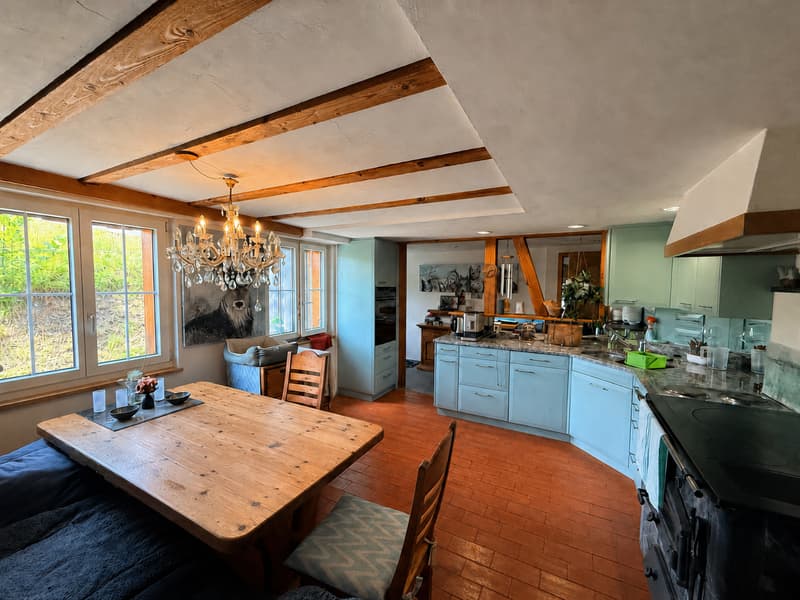 Toggenburg lifestyle – rustic, modern, and with a lot of space (4)