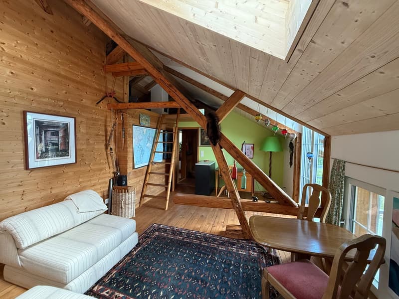 Toggenburg lifestyle – rustic, modern, and with a lot of space (7)