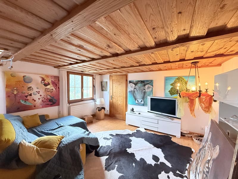 Toggenburg lifestyle – rustic, modern, and with a lot of space (3)