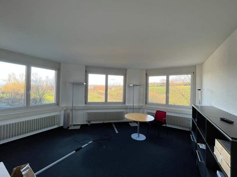 Belle & Espace de bureau central à louer (14)