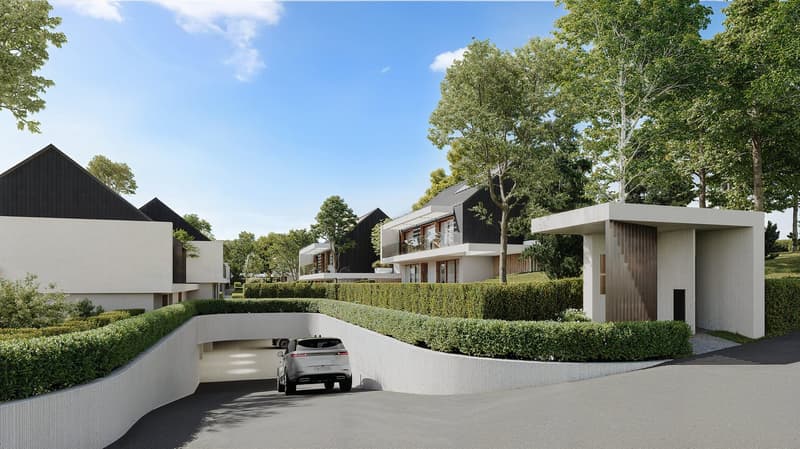 Modern house, black and white exterior, trees and bushes, driveway with car, large hedges