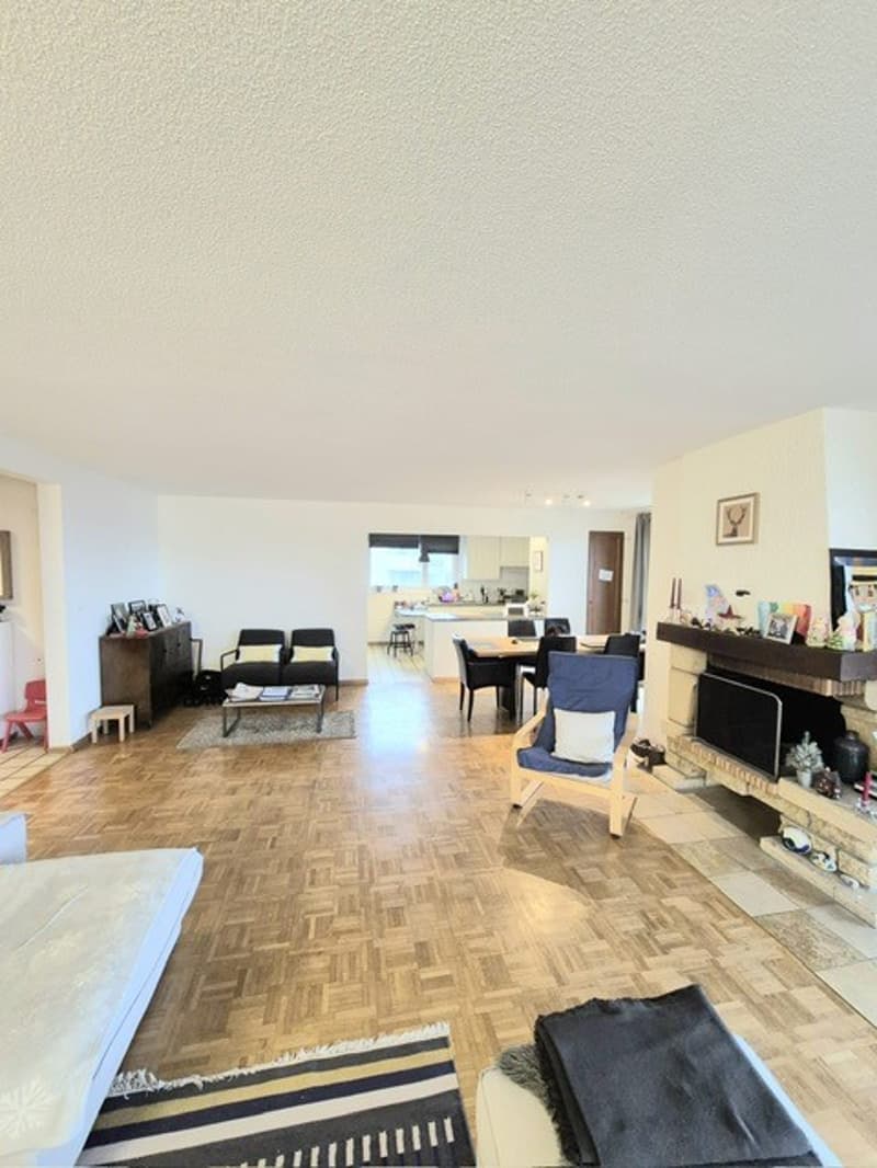 161 m² apartment with lake view – volumes and potential in St-Blaise (3)