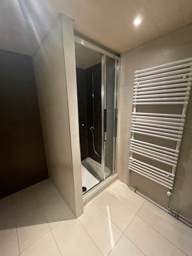 Bright 5.5-room apartment in Villiers (18)