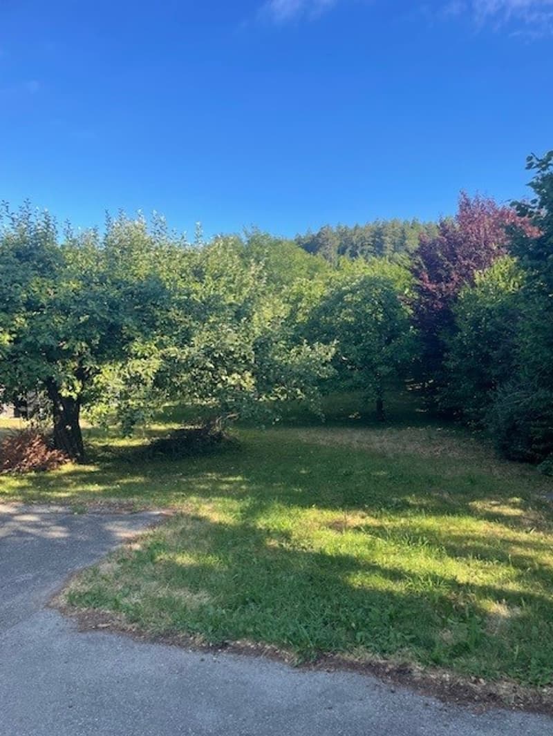 Bright 5.5-room apartment in Villiers (21)