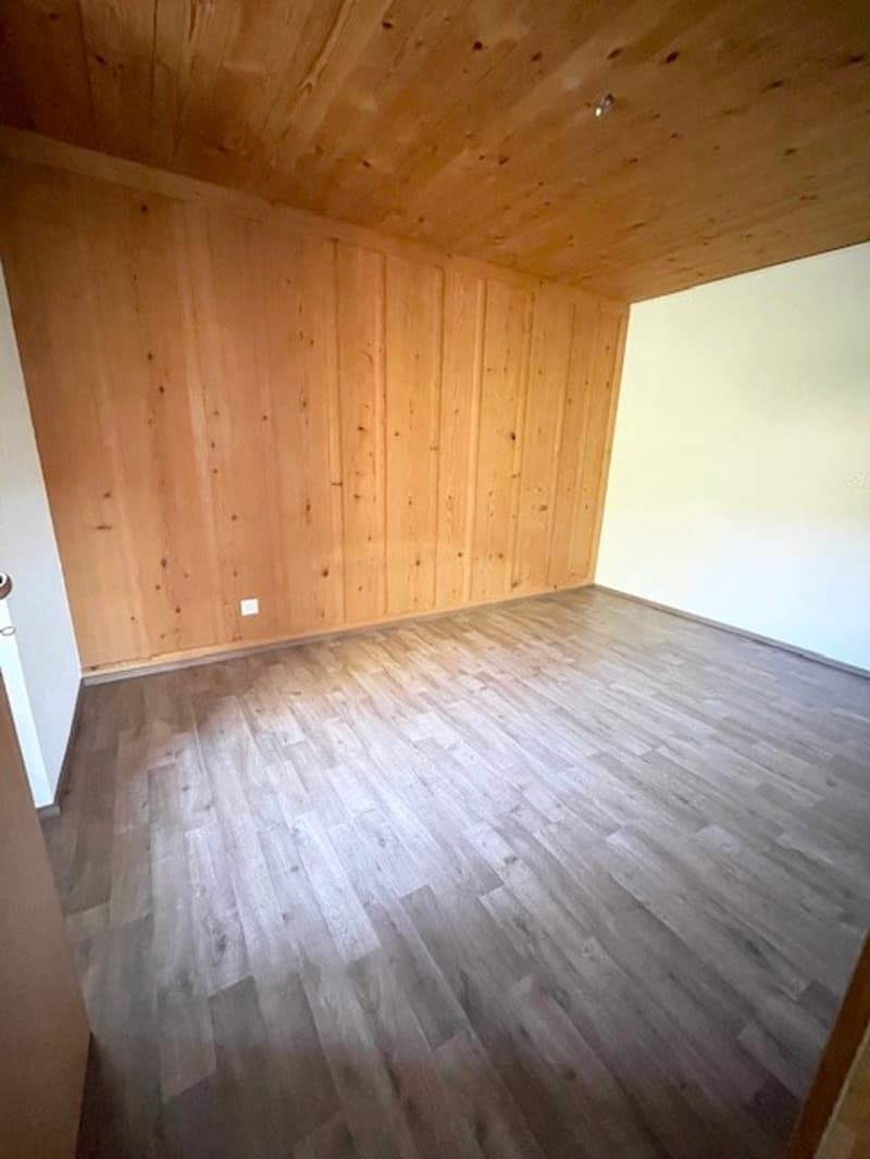 Bright 5.5-room apartment in Villiers (12)