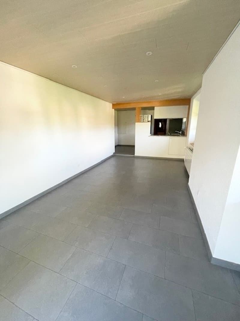 Bright 5.5-room apartment in Villiers (5)