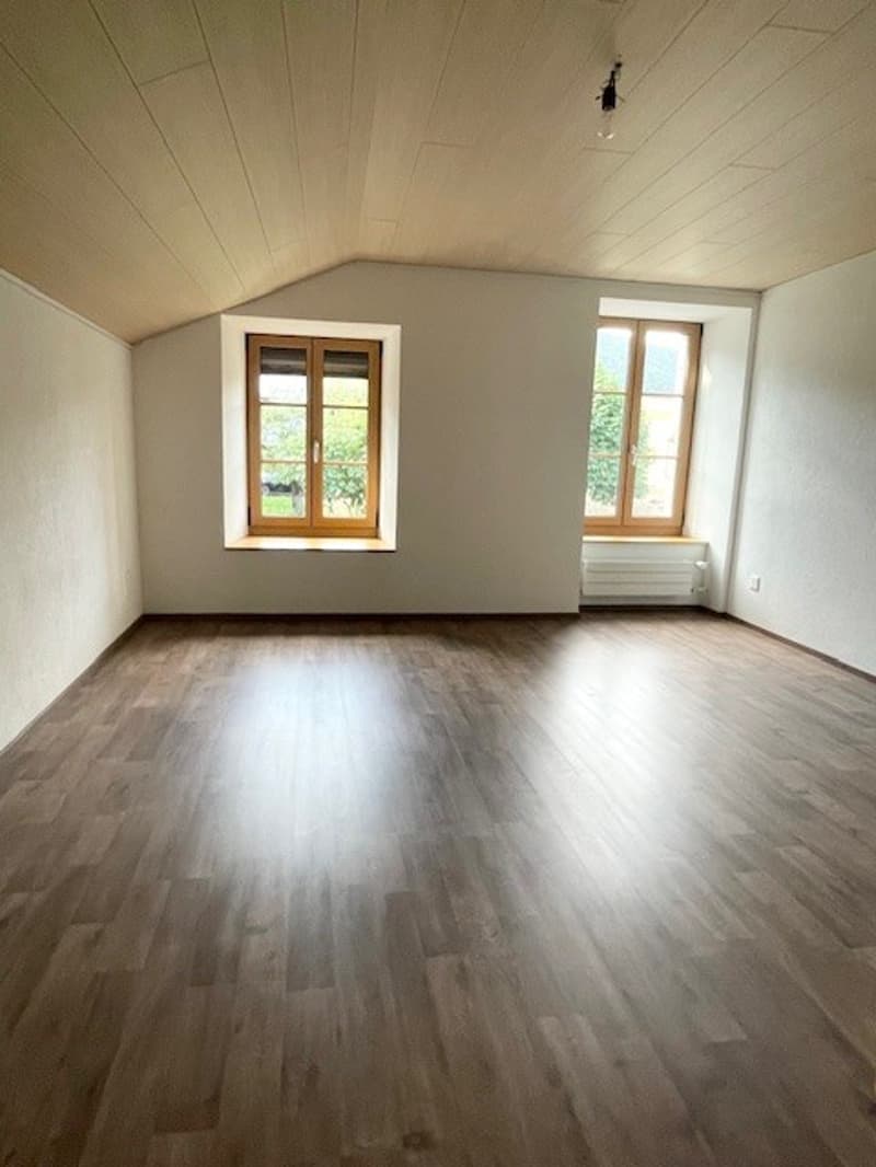 Bright 5.5-room apartment in Villiers (11)