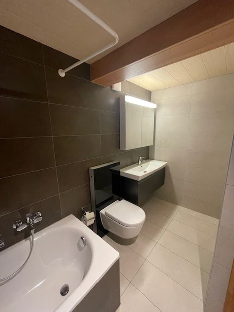 Bright 5.5-room apartment in Villiers (17)
