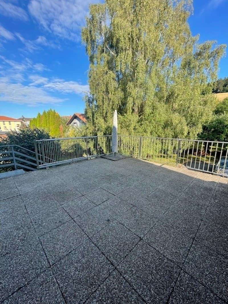 Bright 5.5-room apartment in Villiers (19)