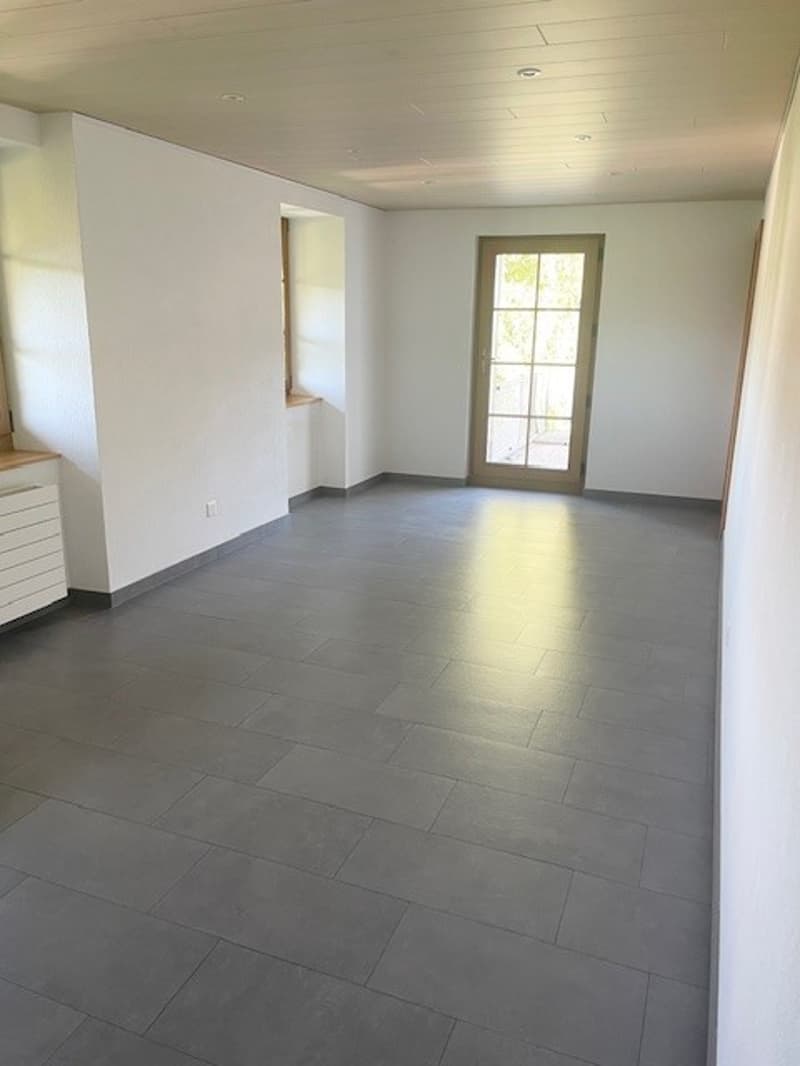 Bright 5.5-room apartment in Villiers (6)