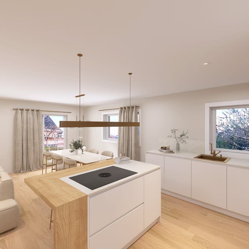 Nuovo progetto di 3 ville contemporanee in un quartiere residenziale ricercato (6)
