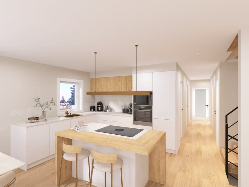 Nuovo progetto di 3 ville contemporanee in un quartiere residenziale ricercato (4)
