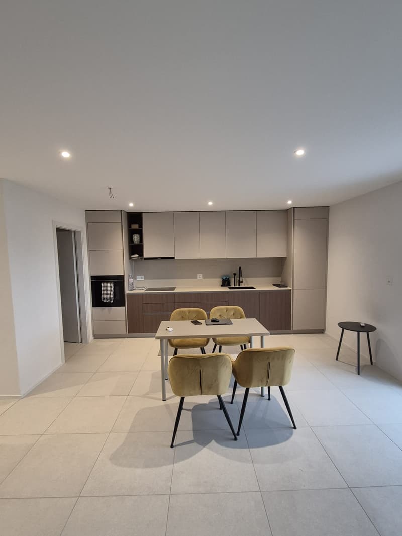 Ein Garten wie eine Villa. Der Komfort einer neuen Wohnung. (1)