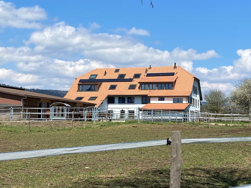 Magnificent 3.5-room apartment with unobstructed view of the countryside (10)