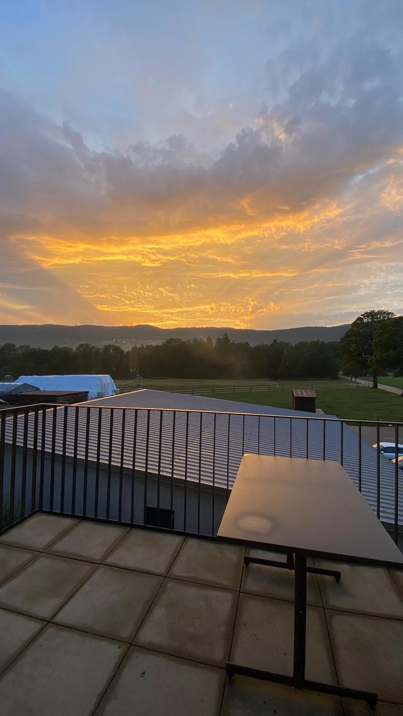 Magnificent 3.5-room apartment with unobstructed view of the countryside (12)