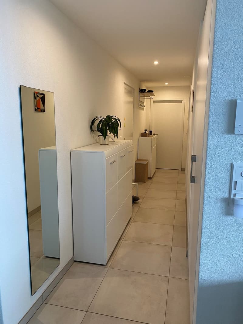 Magnificent 3.5-room apartment with unobstructed view of the countryside (8)