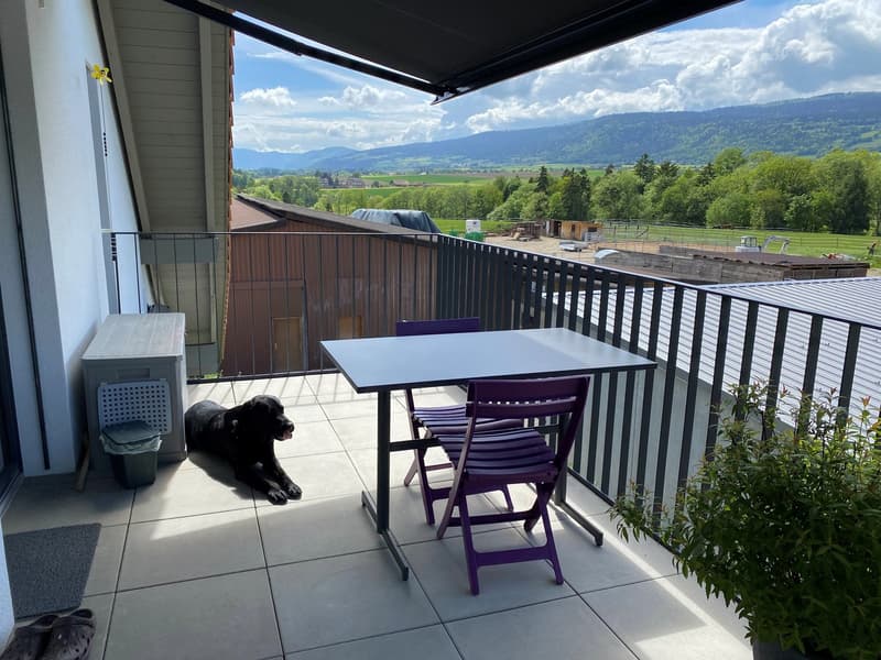 Magnificent 3.5-room apartment with unobstructed view of the countryside (9)