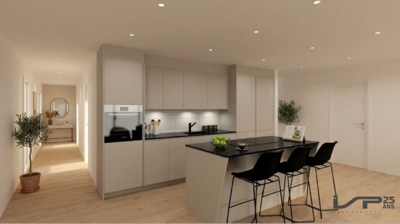 Une ferme de caractère, 11 appartements à découvrir (3)