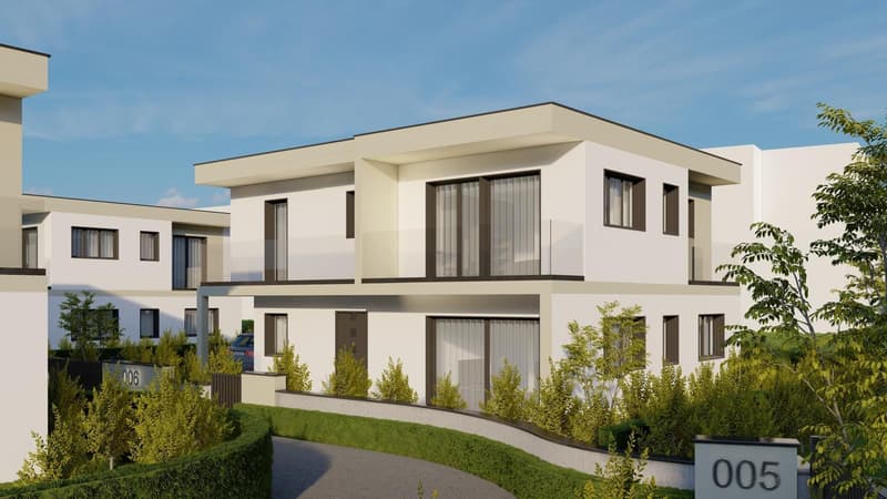 5.5-room new building single-family house with PV in Däniken - quiet & modern (1)